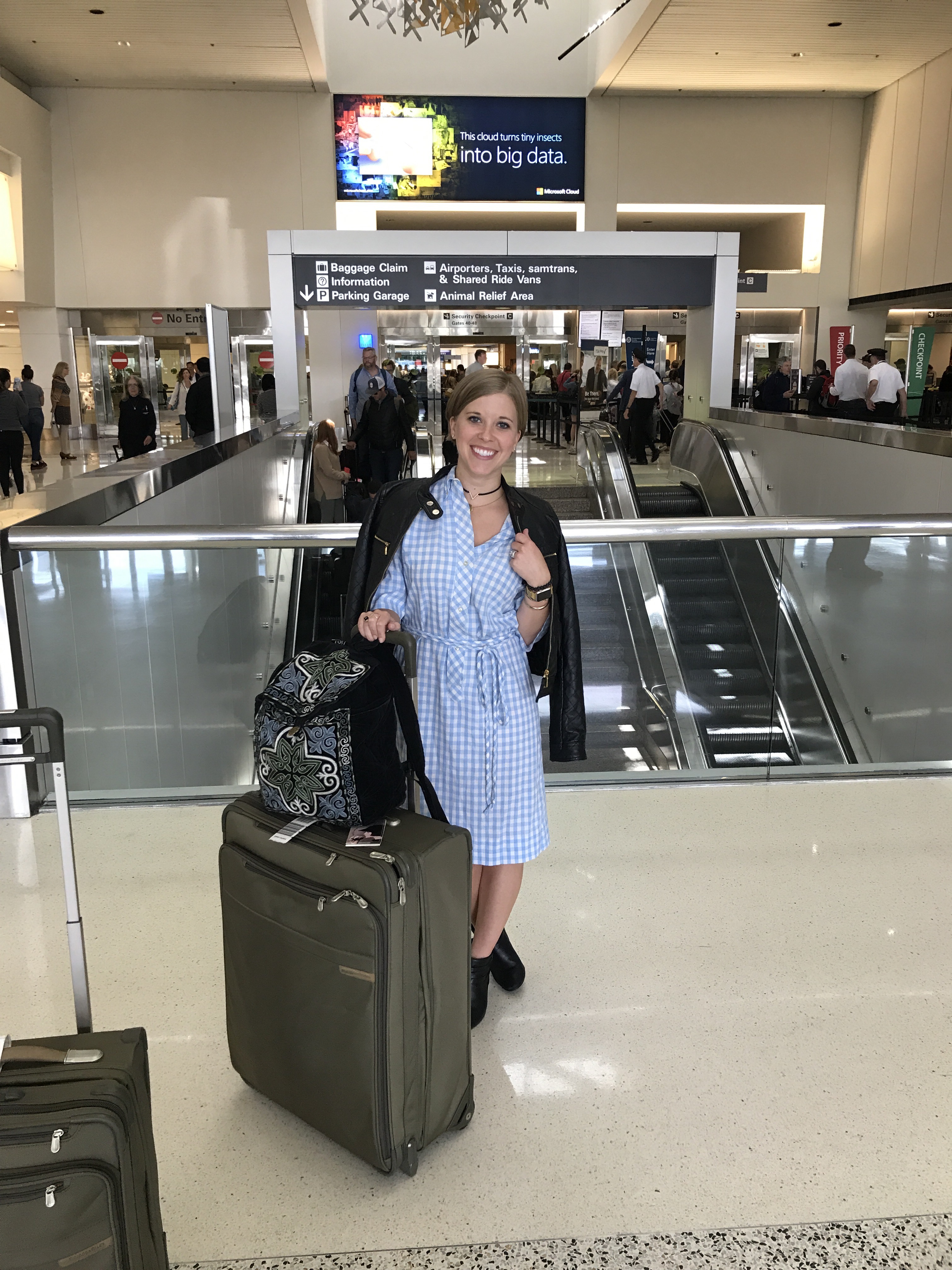 Briggs & Riley large baseline suitcase